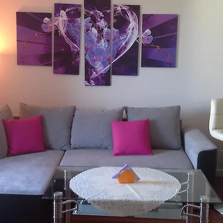 公寓 Apartament Polanki Lux 2+2+3 Z Garazem *